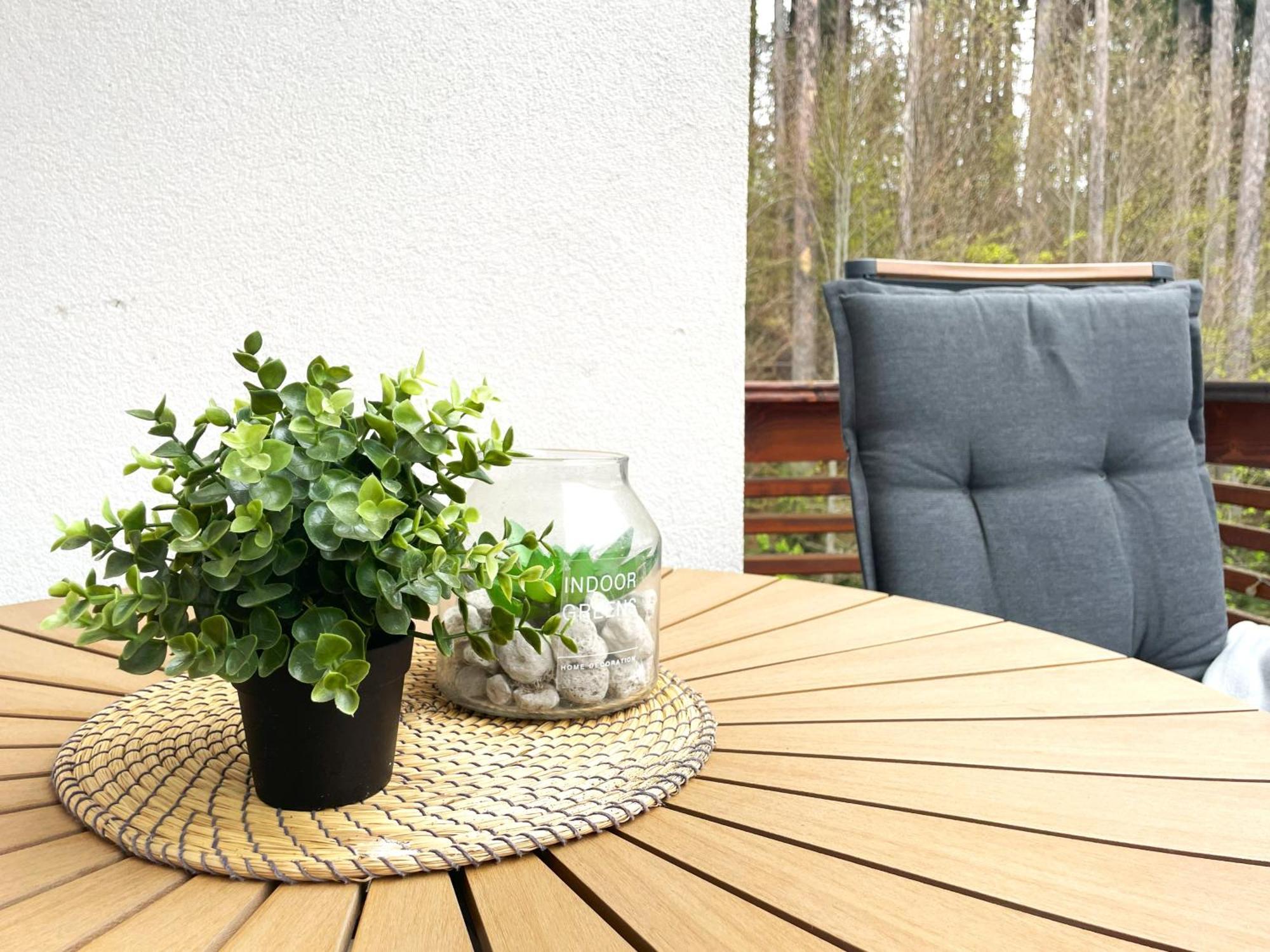 Forest Oasis Studio - Free Netflix And Disney Plus Predeal Exterior photo